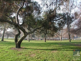 Enlarge photo 35