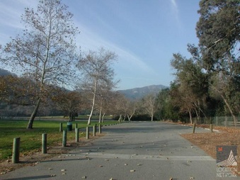 Enlarge photo 42