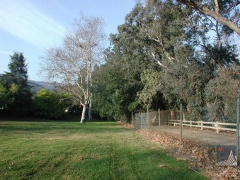 Enlarge photo 45