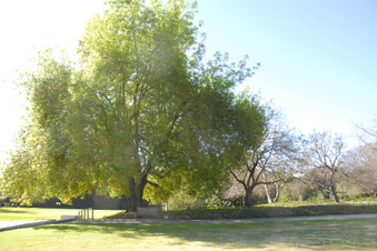 LA Arboretum-Bauer Fountain