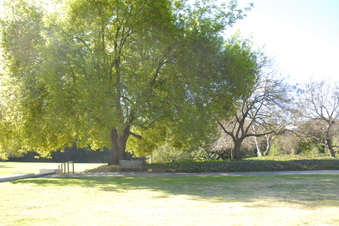 Enlarge photo 2