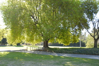 Enlarge photo 3