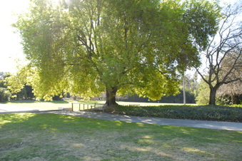 Enlarge photo 4