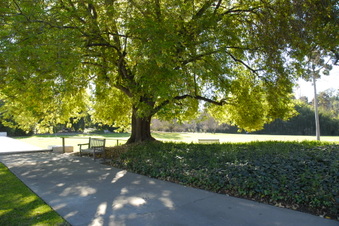 Enlarge photo 5