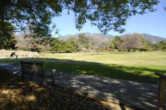Enlarge photo 10