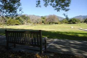 Enlarge photo 13