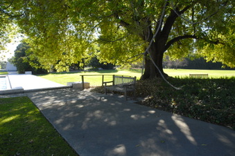 Enlarge photo 16