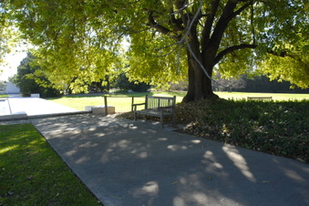 Enlarge photo 17