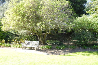 Enlarge photo 7