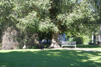 Enlarge photo 2