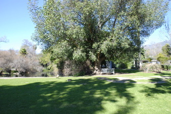 Enlarge photo 3