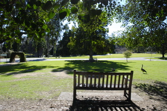 Enlarge photo 5