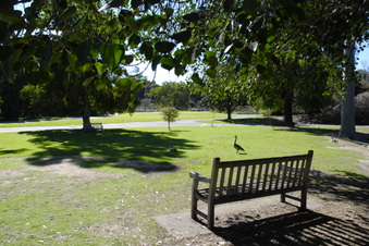 Enlarge photo 6