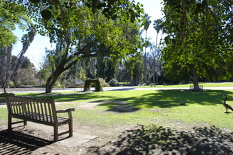 Enlarge photo 7