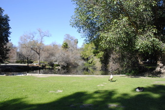 Enlarge photo 8
