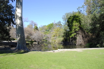 Enlarge photo 10