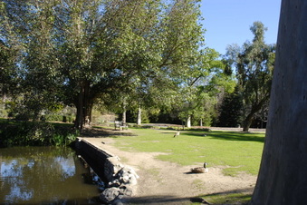 Enlarge photo 11