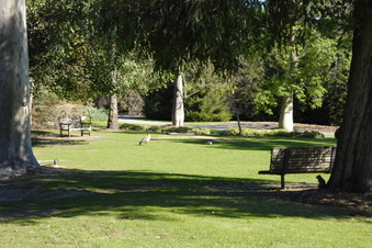 Enlarge photo 13