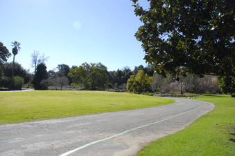 Enlarge photo 14