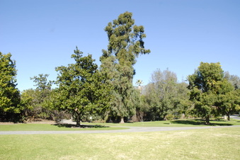 Enlarge photo 15