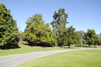 Enlarge photo 17