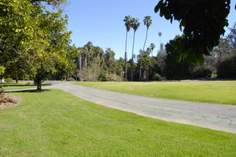 Enlarge photo 20