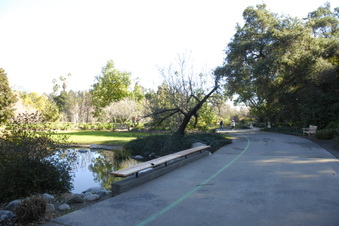 Enlarge photo 5
