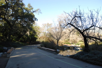 Enlarge photo 8
