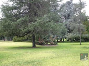 Enlarge photo 2