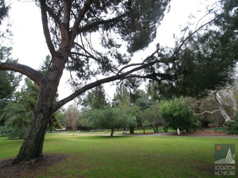 Enlarge photo 11