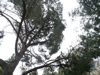 Enlarge photo 12