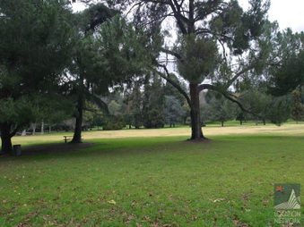 Enlarge photo 16