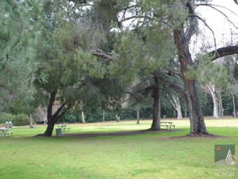Enlarge photo 20