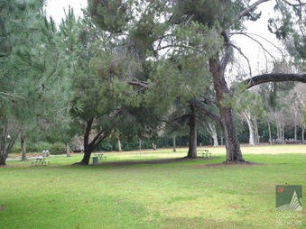 Enlarge photo 21