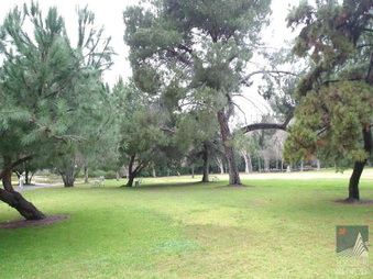Enlarge photo 23