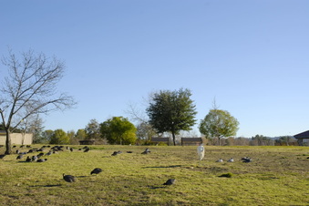 Enlarge photo 11