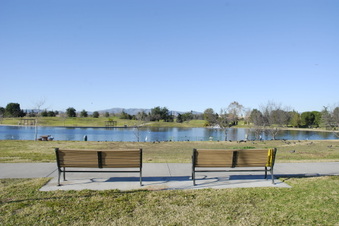 Enlarge photo 20