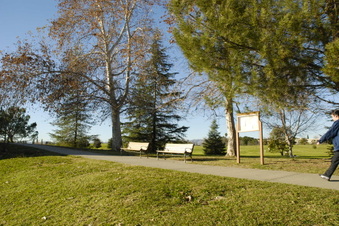 Enlarge photo 21