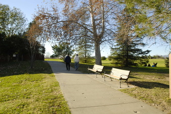 Enlarge photo 23