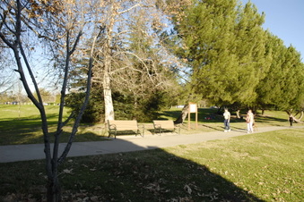 Enlarge photo 24