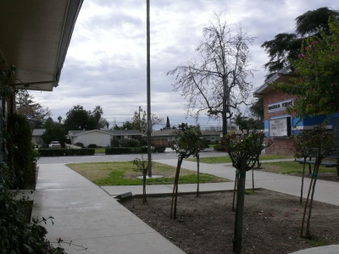 Enlarge photo 25