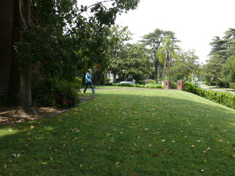 Enlarge photo 14