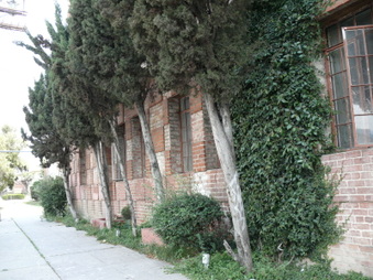 Enlarge photo 3