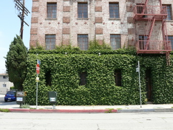 Enlarge photo 9