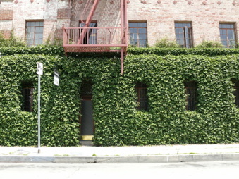 Enlarge photo 11