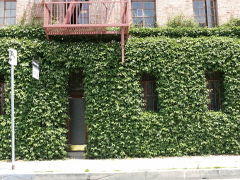 Enlarge photo 12