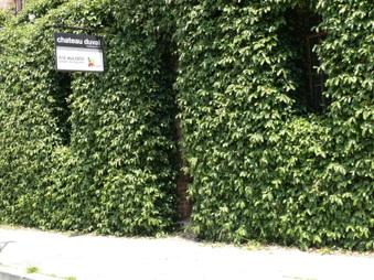Enlarge photo 13