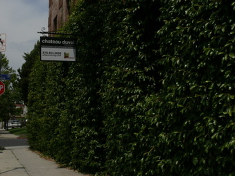 Enlarge photo 16