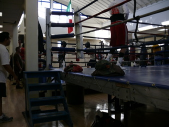 Enlarge photo 22