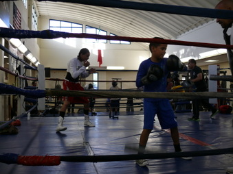 Enlarge photo 24